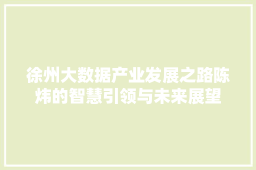 徐州大数据产业发展之路陈炜的智慧引领与未来展望