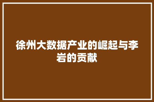 徐州大数据产业的崛起与李岩的贡献