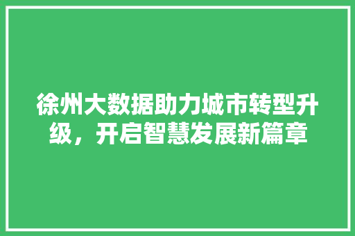 徐州大数据助力城市转型升级，开启智慧发展新篇章