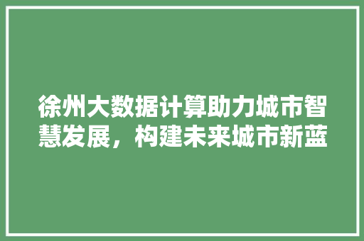 徐州大数据计算助力城市智慧发展，构建未来城市新蓝图