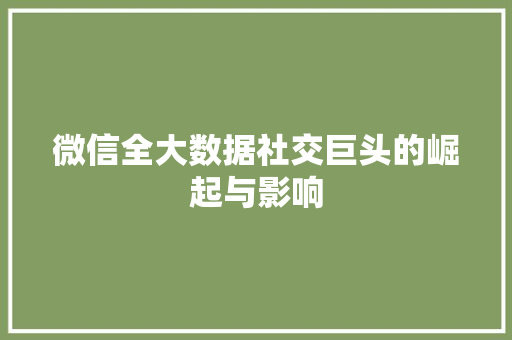 微信全大数据社交巨头的崛起与影响 建站教程
