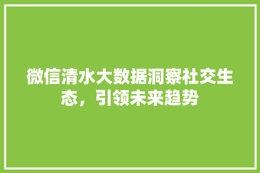微信清水大数据洞察社交生态，引领未来趋势