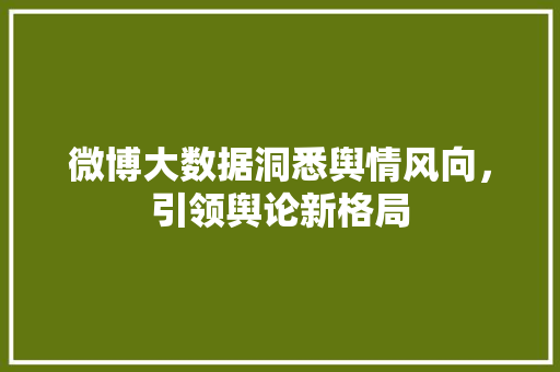 微博大数据洞悉舆情风向，引领舆论新格局
