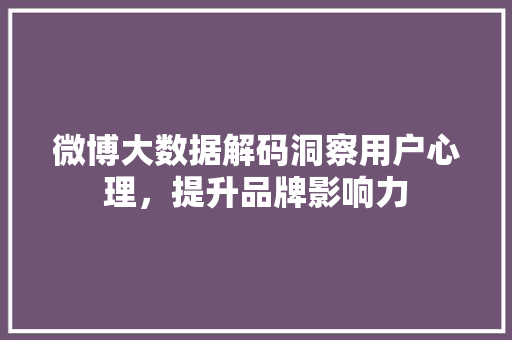 微博大数据解码洞察用户心理，提升品牌影响力