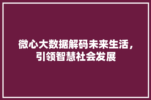微心大数据解码未来生活，引领智慧社会发展