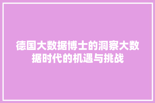 德国大数据博士的洞察大数据时代的机遇与挑战