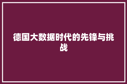 德国大数据时代的先锋与挑战