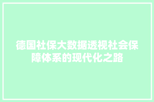 德国社保大数据透视社会保障体系的现代化之路