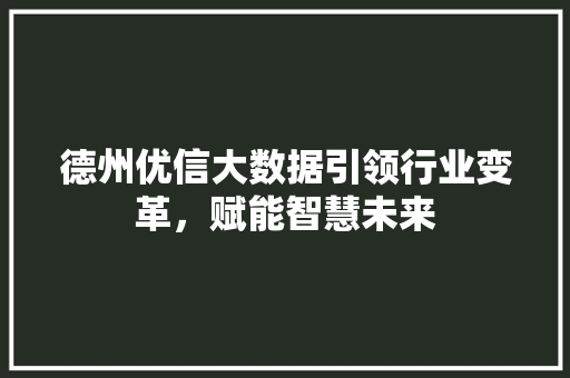 德州优信大数据引领行业变革，赋能智慧未来