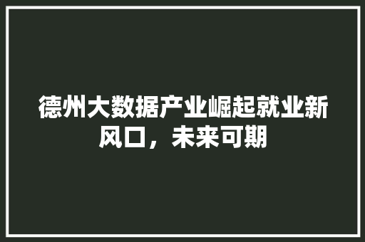 德州大数据产业崛起就业新风口，未来可期