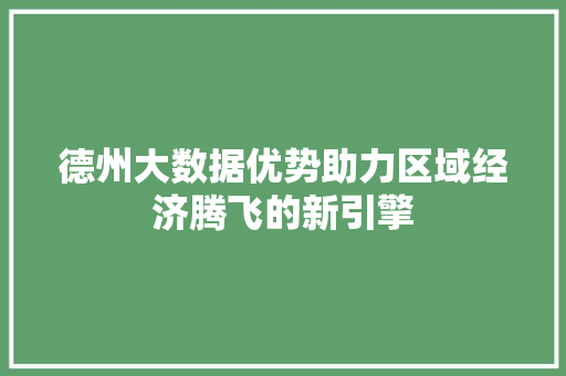 德州大数据优势助力区域经济腾飞的新引擎