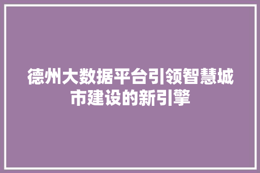 德州大数据平台引领智慧城市建设的新引擎