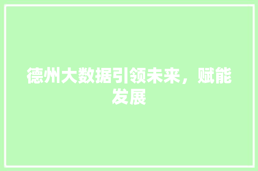 德州大数据引领未来，赋能发展