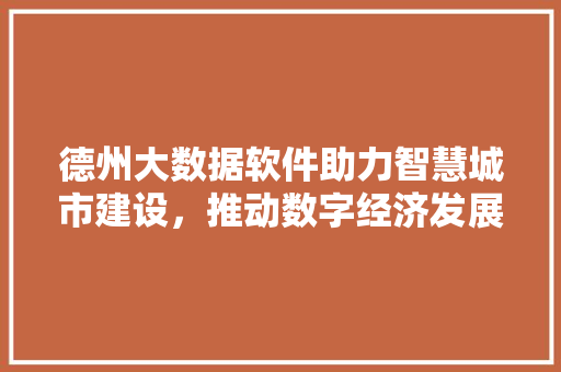 德州大数据软件助力智慧城市建设，推动数字经济发展