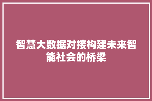 智慧大数据对接构建未来智能社会的桥梁 Web前端