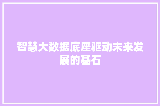 智慧大数据底座驱动未来发展的基石 建站教程
