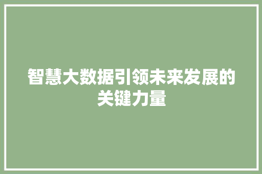 智慧大数据引领未来发展的关键力量 Web前端