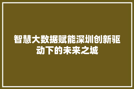 智慧大数据赋能深圳创新驱动下的未来之城