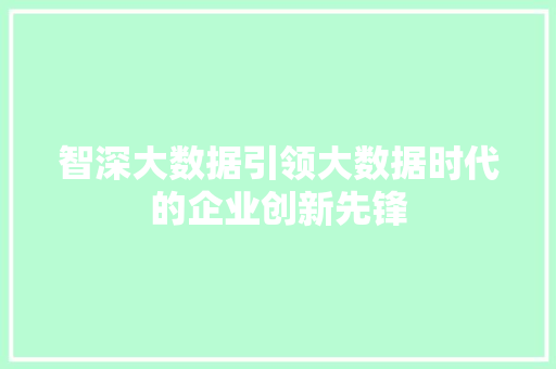 智深大数据引领大数据时代的企业创新先锋