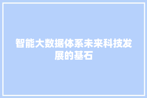 智能大数据体系未来科技发展的基石