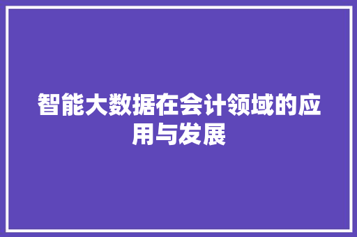 智能大数据在会计领域的应用与发展 建站教程