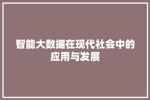 智能大数据在现代社会中的应用与发展
