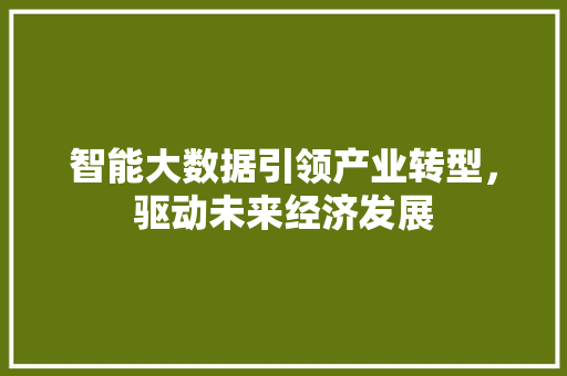智能大数据引领产业转型，驱动未来经济发展 Web前端