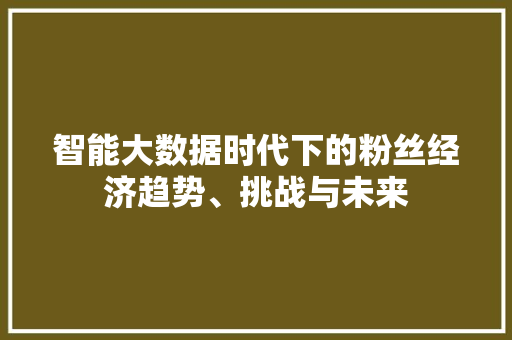 智能大数据时代下的粉丝经济趋势、挑战与未来 建站教程