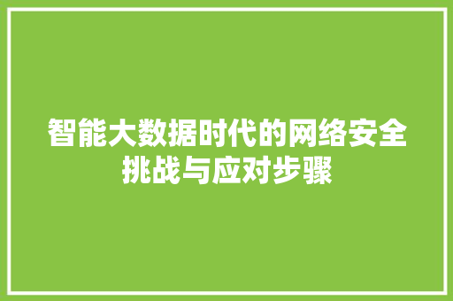 智能大数据时代的网络安全挑战与应对步骤
