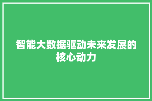 智能大数据驱动未来发展的核心动力 Web前端