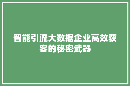 智能引流大数据企业高效获客的秘密武器