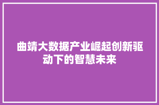 曲靖大数据产业崛起创新驱动下的智慧未来 SEO教程