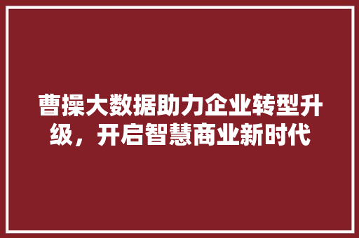 曹操大数据助力企业转型升级，开启智慧商业新时代