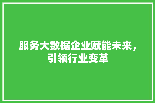 服务大数据企业赋能未来，引领行业变革