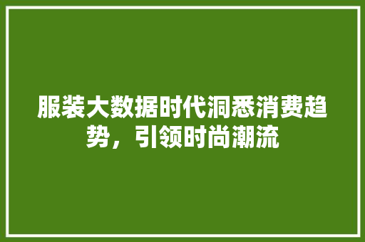服装大数据时代洞悉消费趋势，引领时尚潮流