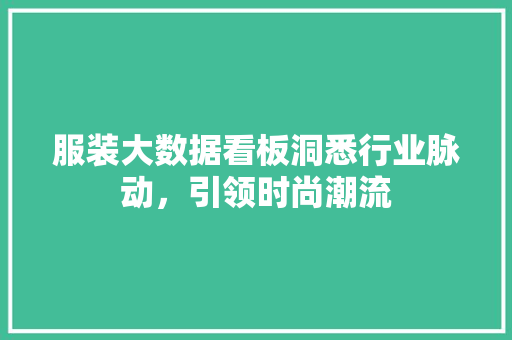 服装大数据看板洞悉行业脉动，引领时尚潮流 服务器/数据库