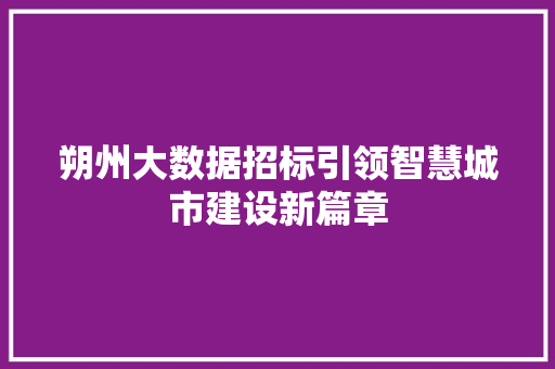 朔州大数据招标引领智慧城市建设新篇章