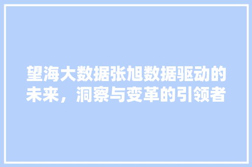 望海大数据张旭数据驱动的未来，洞察与变革的引领者