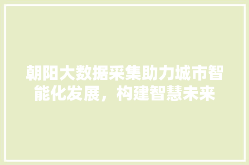 朝阳大数据采集助力城市智能化发展，构建智慧未来