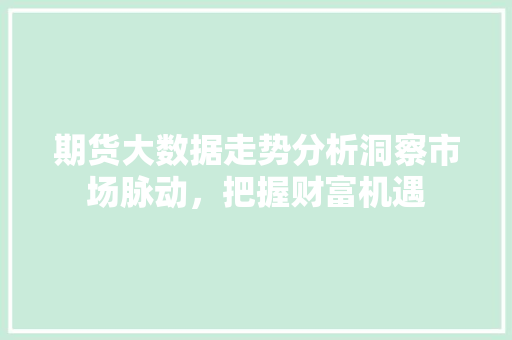期货大数据走势分析洞察市场脉动，把握财富机遇 建站教程