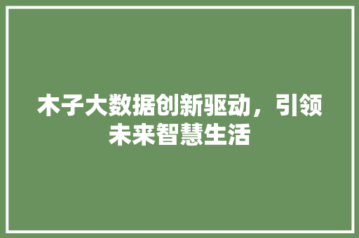木子大数据创新驱动，引领未来智慧生活