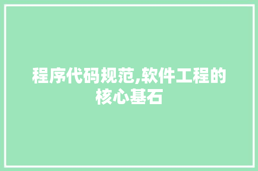 程序代码规范,软件工程的核心基石