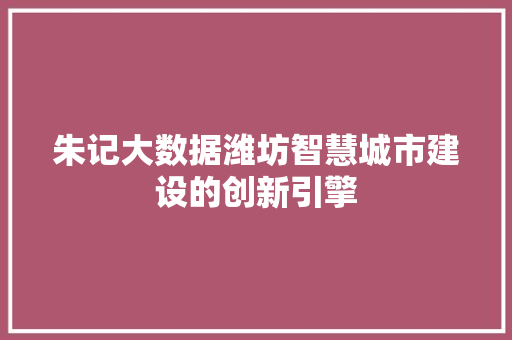 朱记大数据潍坊智慧城市建设的创新引擎
