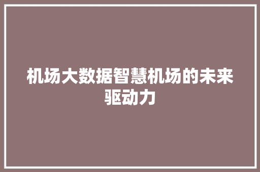 机场大数据智慧机场的未来驱动力 建站教程