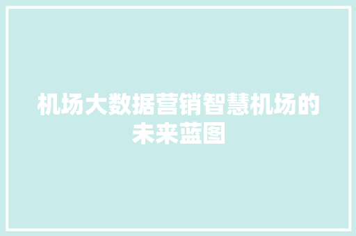 机场大数据营销智慧机场的未来蓝图 WordPress教程