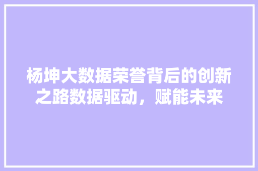 杨坤大数据荣誉背后的创新之路数据驱动，赋能未来