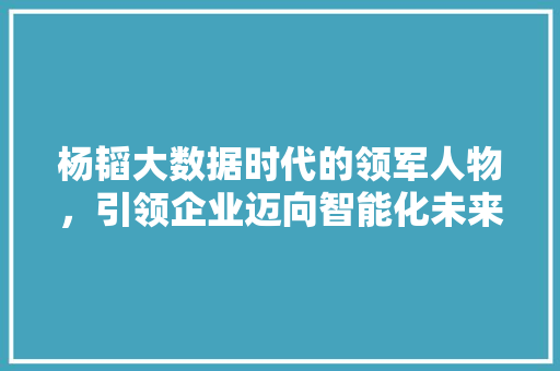 杨韬大数据时代的领军人物，引领企业迈向智能化未来 服务器/数据库