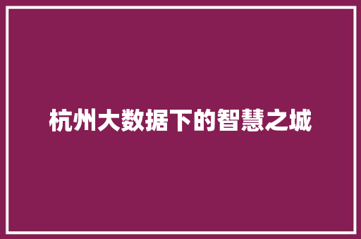 杭州大数据下的智慧之城