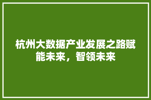 杭州大数据产业发展之路赋能未来，智领未来 SEO教程