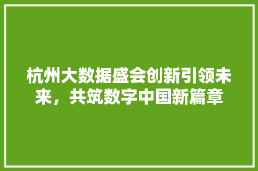 杭州大数据盛会创新引领未来，共筑数字中国新篇章
